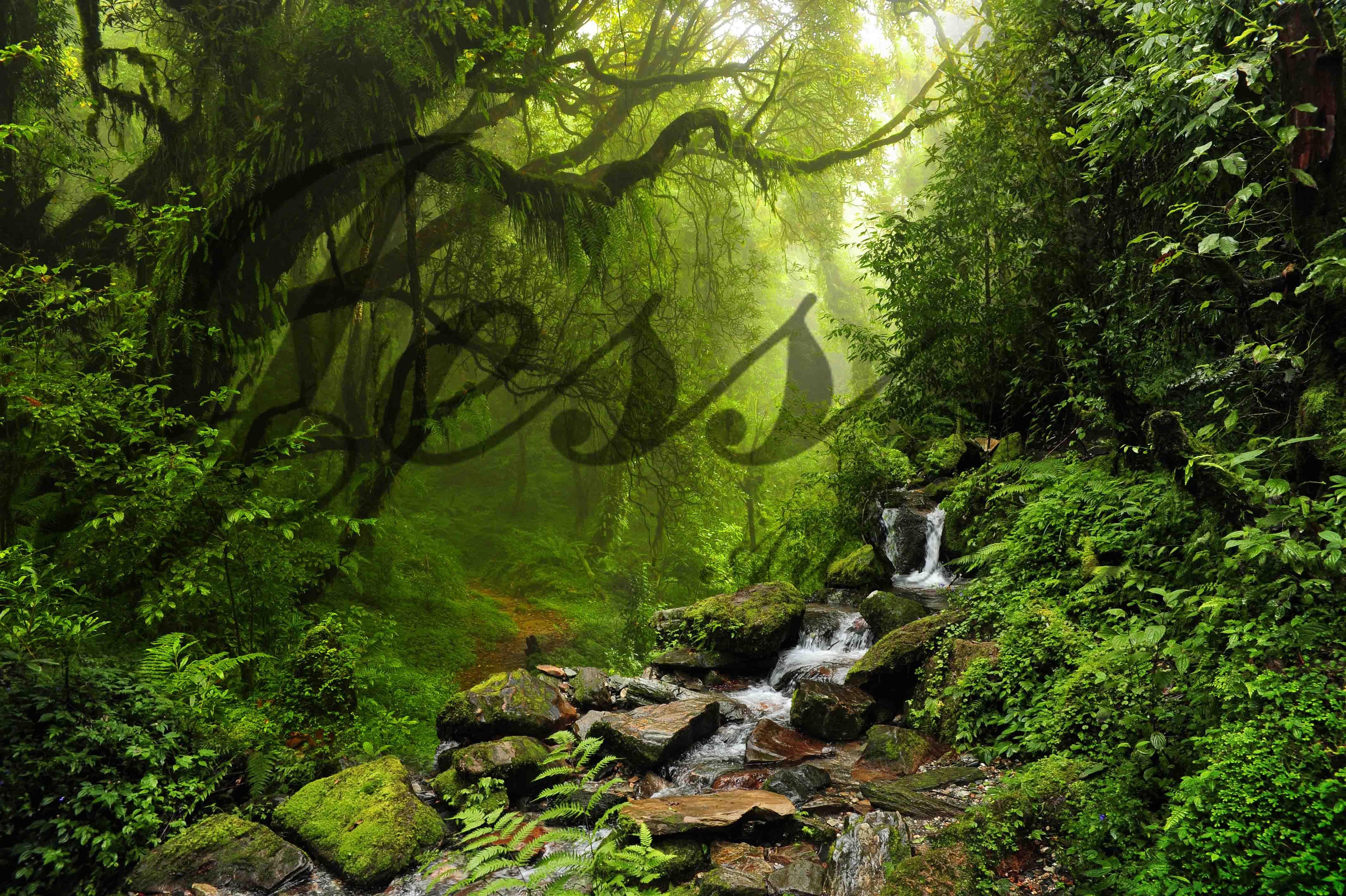 3D Green Jungle Wall Mural Wallpaper 5- Jess Art Decoration