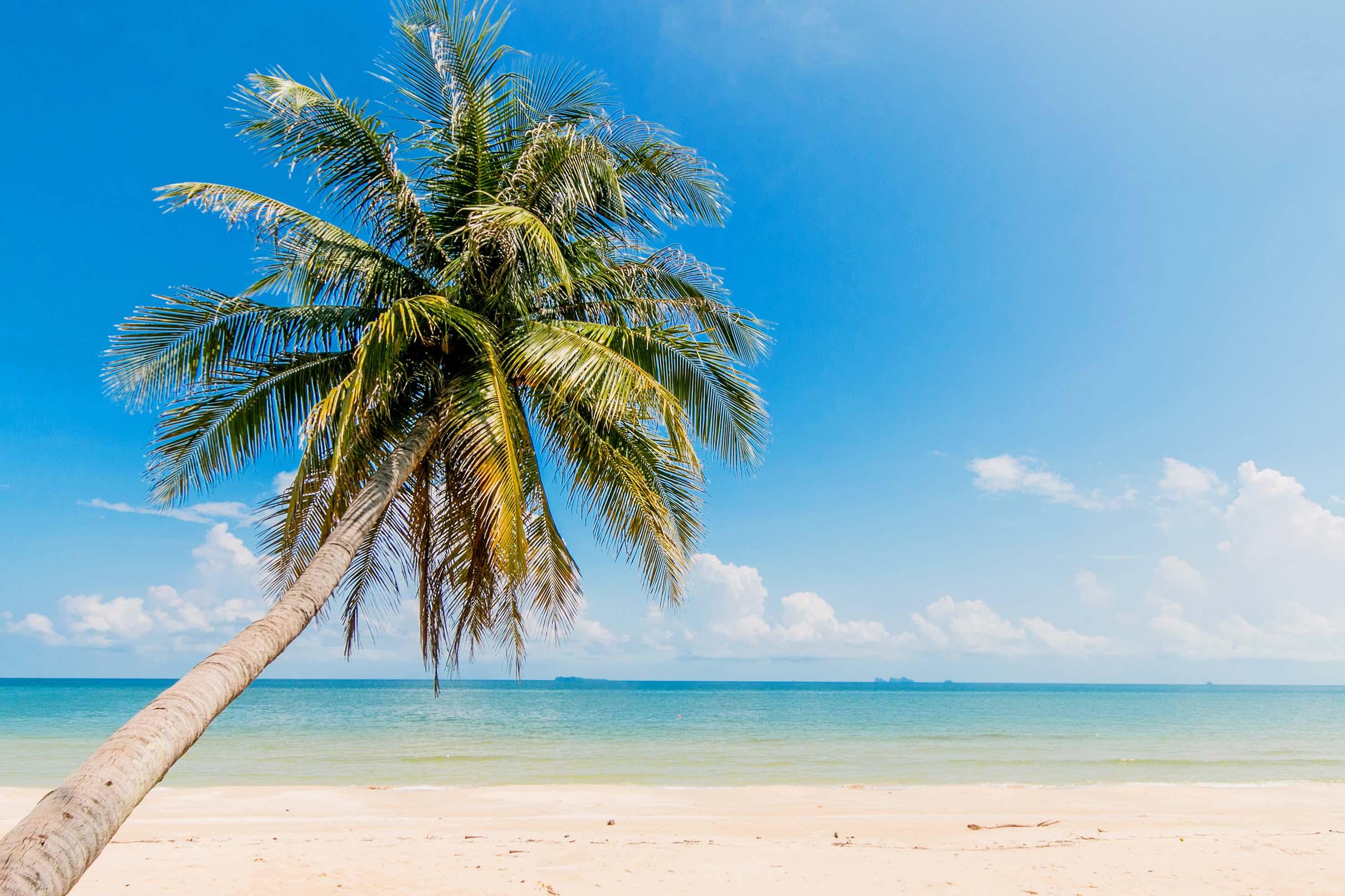 3D Blue Sea Beach Palm Tree Quilt Cover Set Bedding Set Pillowcases 32- Jess Art Decoration