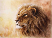 3D Animal Lion Wall Mural Wallpaper LQH 353- Jess Art Decoration