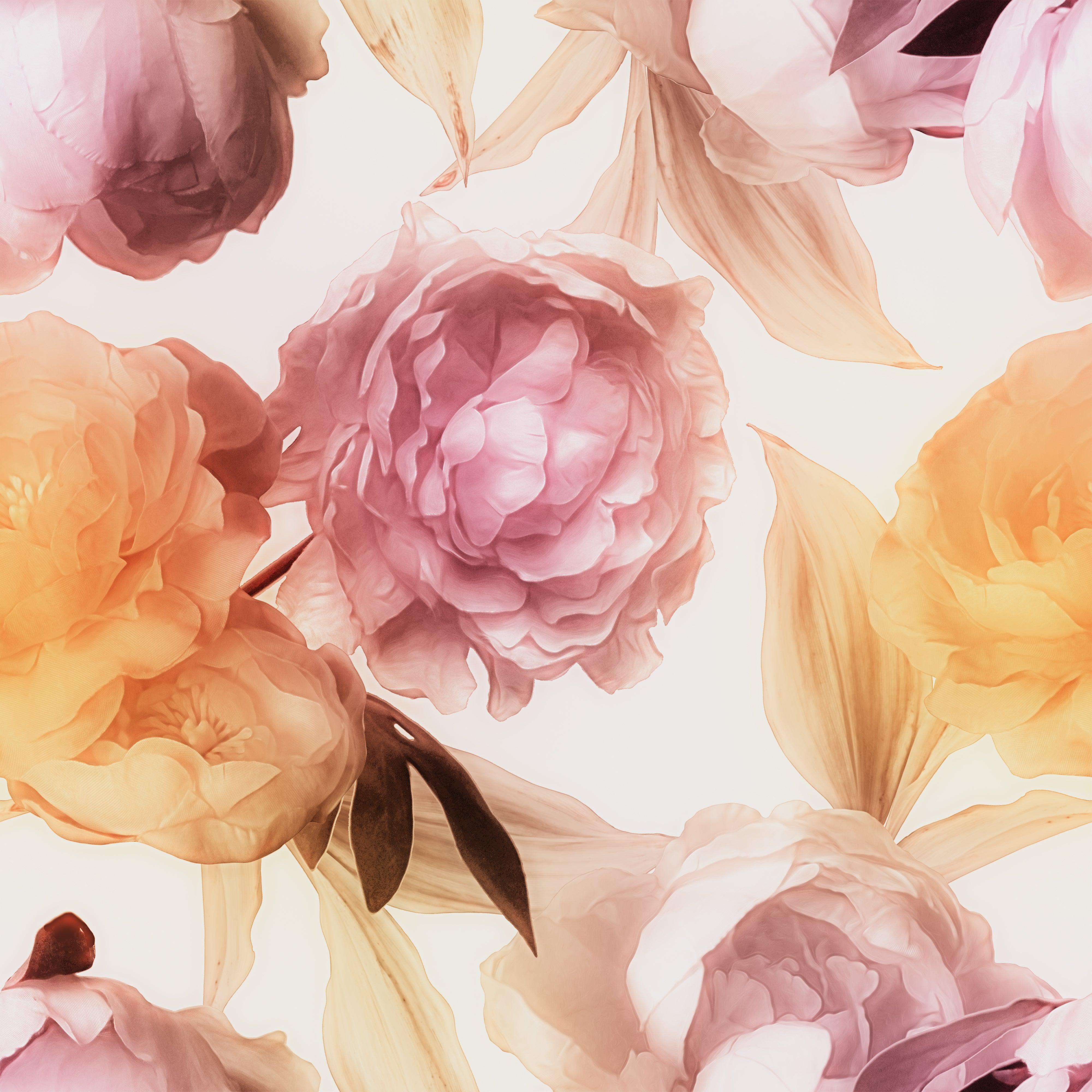 3D Pink Peony Flower Background Wall Mural Wallpaper   8- Jess Art Decoration