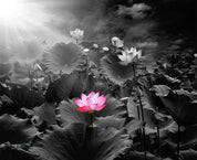 3D Pink Lotus Black Leaves Curtains and Drapes 21- Jess Art Decoration