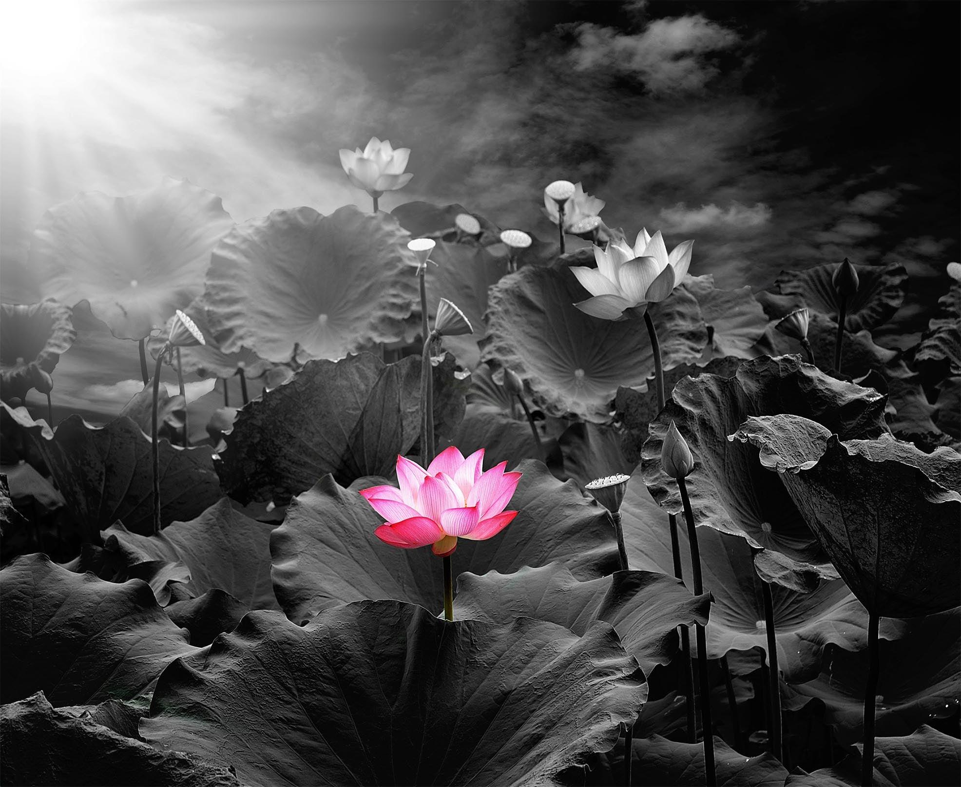 3D Pink Lotus Black Leaves Curtains and Drapes 21- Jess Art Decoration