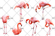 3D Watercolor Pink Flamingo Wall Mural Wallpaper 01- Jess Art Decoration