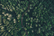 3D aerial photography forest wall mural wallpaper 149- Jess Art Decoration
