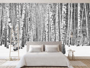 3D birch forest wall mural wallpaper 39- Jess Art Decoration