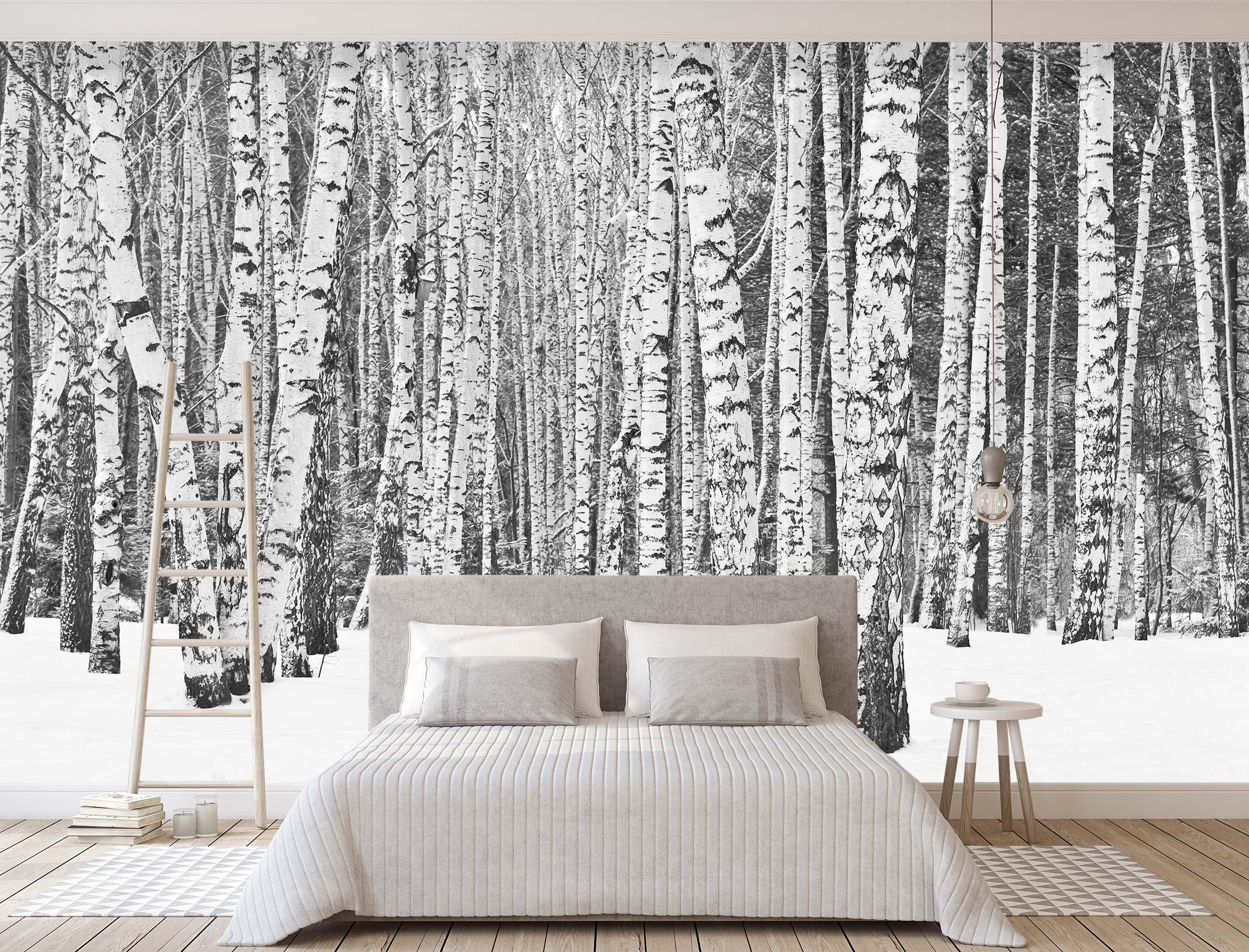 3D birch forest wall mural wallpaper 39- Jess Art Decoration