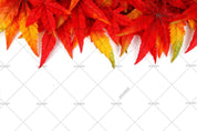 3D Red Maple Leaf Wall Mural Wallpaper LQH 7- Jess Art Decoration