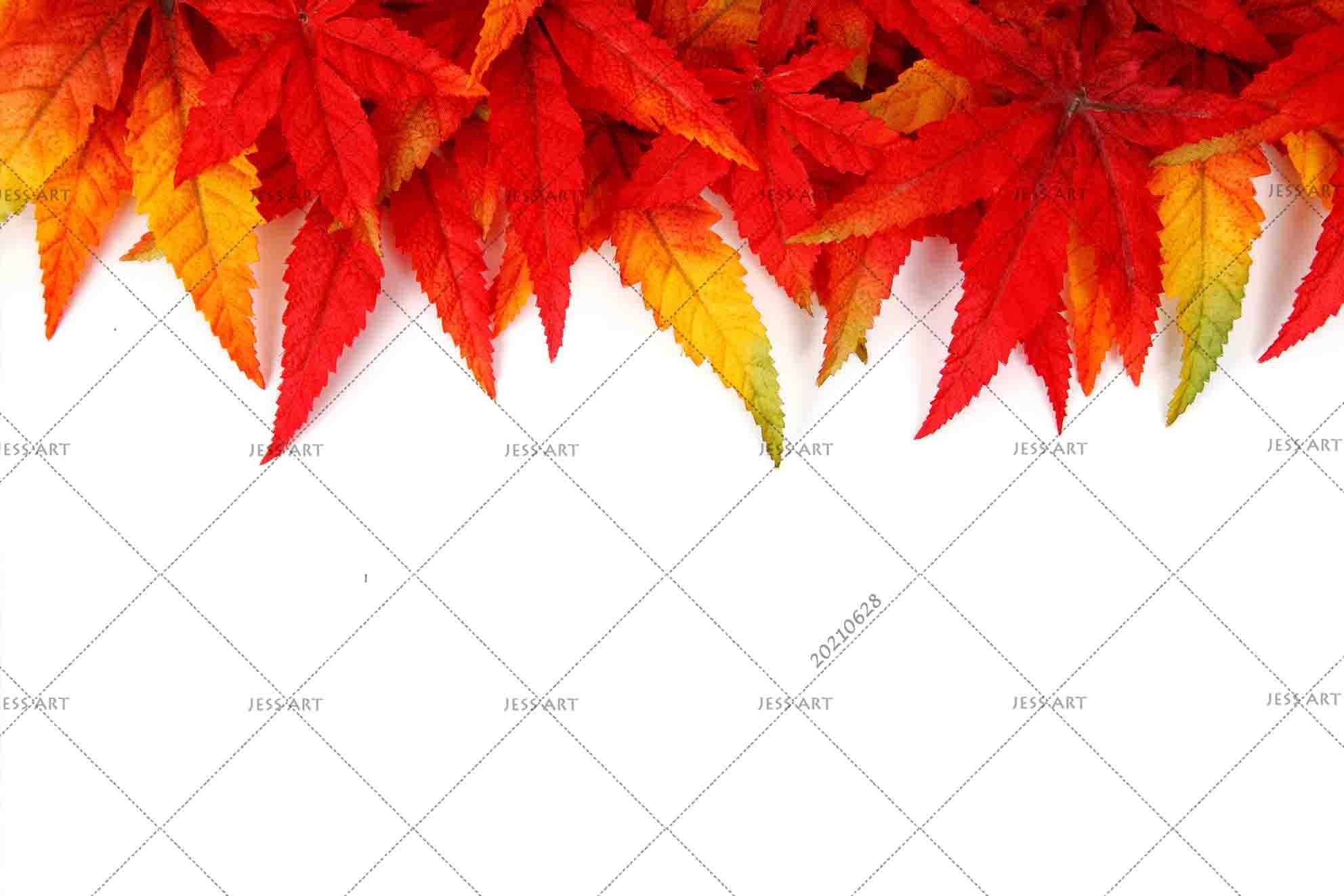 3D Red Maple Leaf Wall Mural Wallpaper LQH 7- Jess Art Decoration