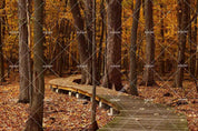 3D Autumn Forest Wooden Bridge Landscape Wall Mural Wallpaper LQH 16- Jess Art Decoration