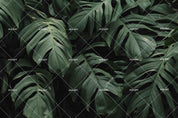 3D Tropical Green Plant Leaf Wall Mural Wallpaper LQH 191- Jess Art Decoration