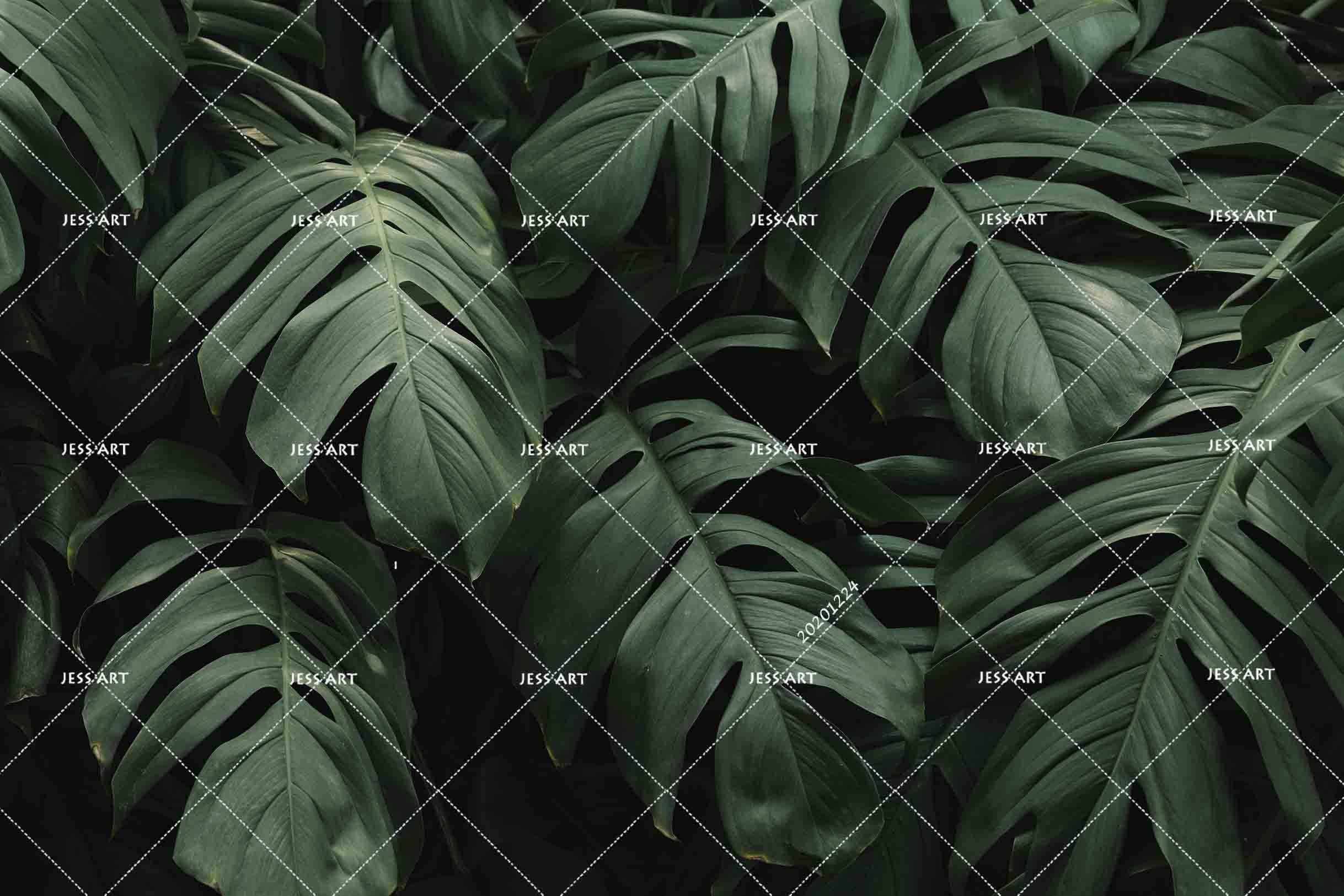 3D Tropical Green Plant Leaf Wall Mural Wallpaper LQH 191- Jess Art Decoration