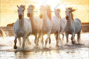 3D Sunset Beach Horse Running Wall Mural Wallpaper LQH 70- Jess Art Decoration