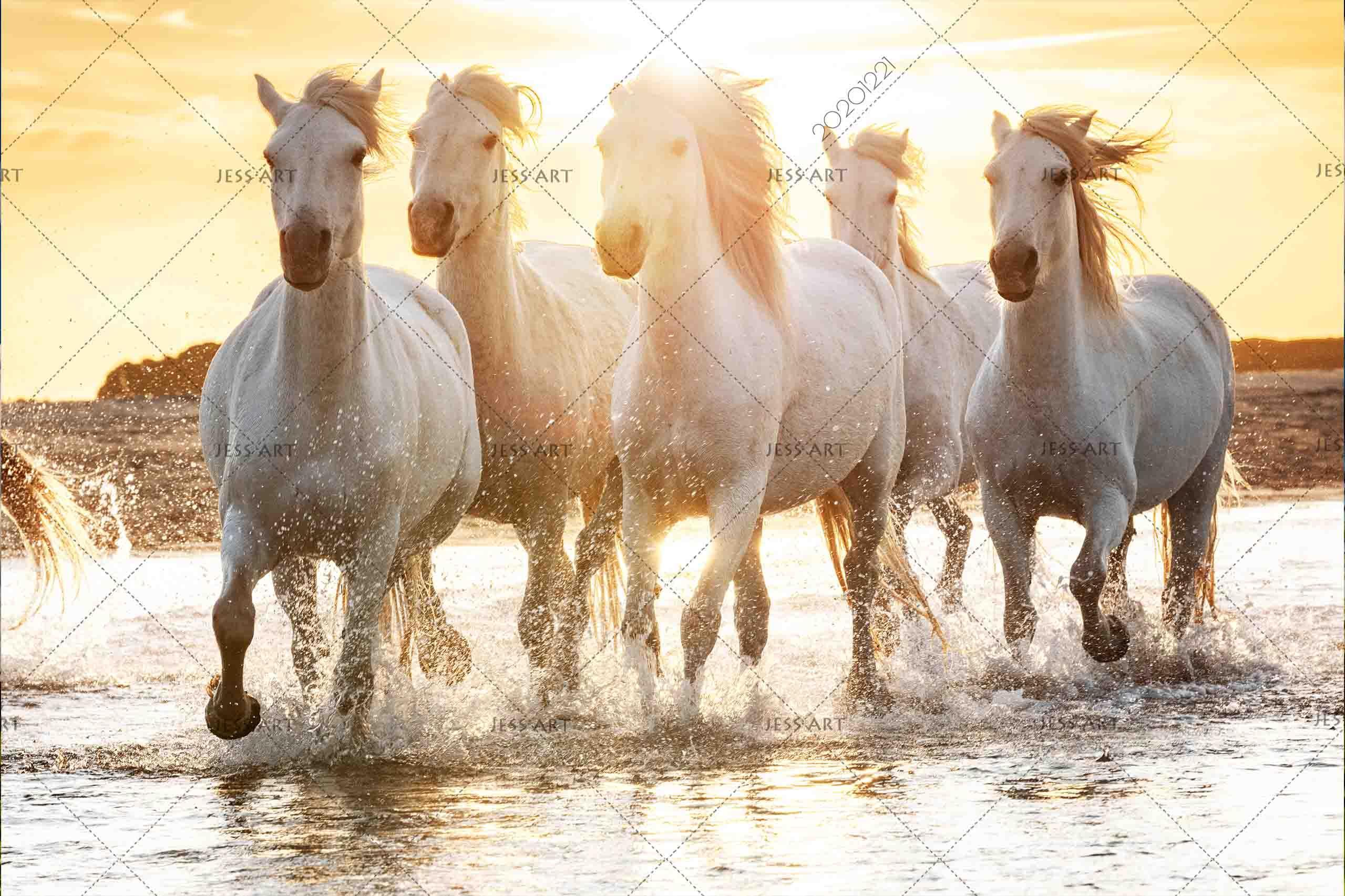 3D Sunset Beach Horse Running Wall Mural Wallpaper LQH 70- Jess Art Decoration