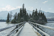 3D Green Forest Lake Bridge Wall Mural Wallpaper A333 LQH- Jess Art Decoration