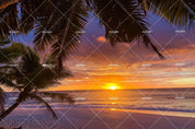 3D Tropical Beach Sea Palm Tree Sunset Wall Mural Wallpaper SF- Jess Art Decoration
