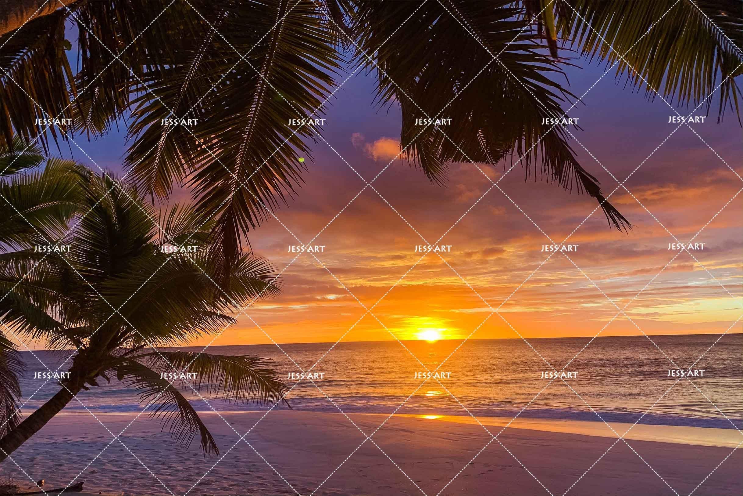 3D Tropical Beach Sea Palm Tree Sunset Wall Mural Wallpaper SF- Jess Art Decoration