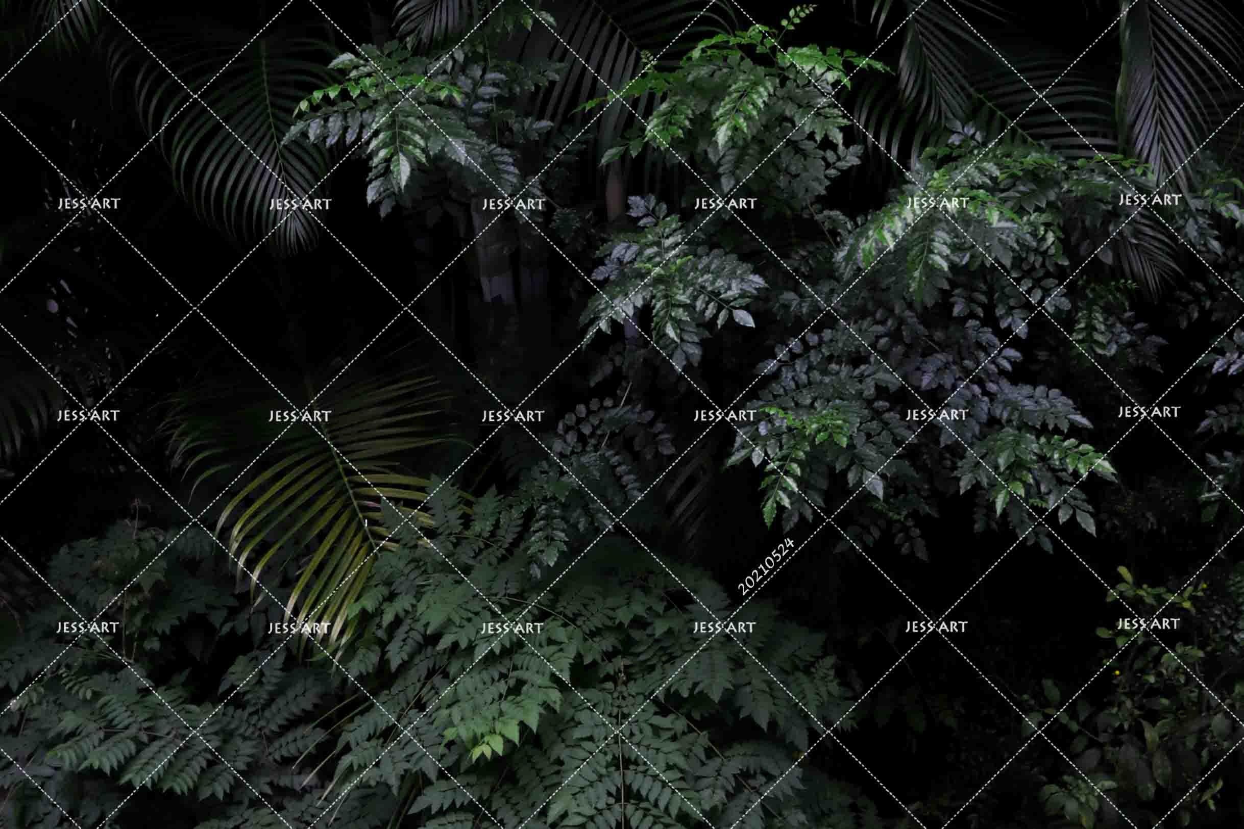 3D Tropics Plant  Wall Mural Wallpaper SWW261- Jess Art Decoration